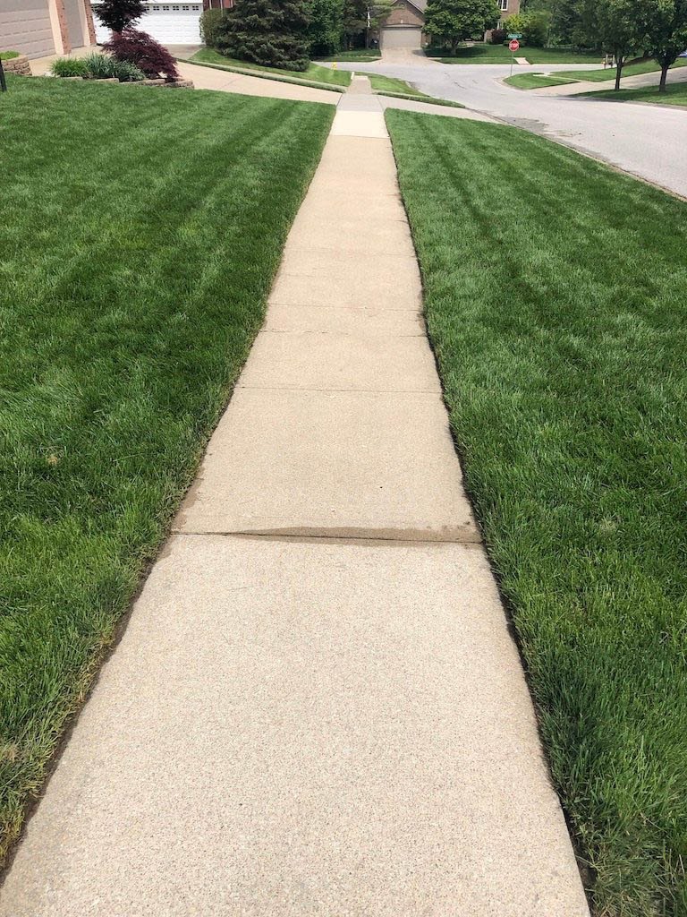 Freshly cleaned concrete pathway