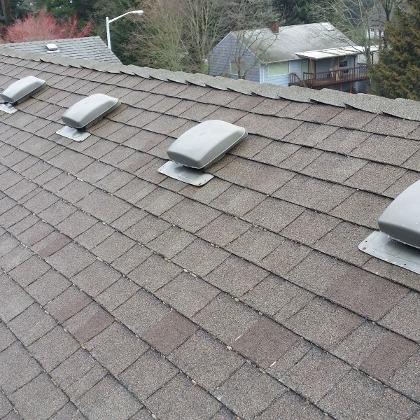 reliable roof cleaning